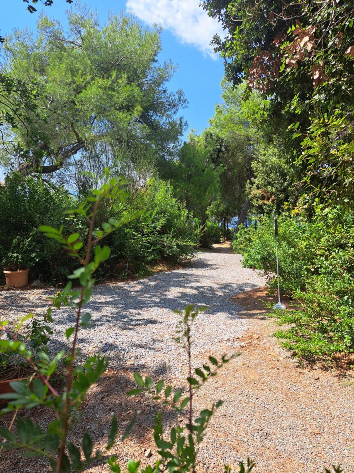 Bed And Breakfast Tenuta Palmieri Only Adult Maratea Kültér fotó